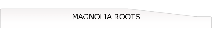 MAGNOLIA ROOTS